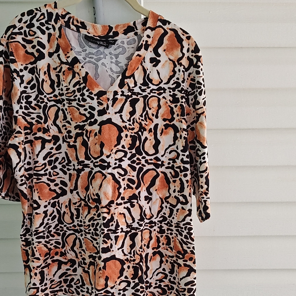 Animal Print V-Neck Top